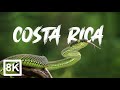 Costa Rica in 8K UltraHD (60 fps)