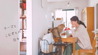 【vlog】猫と暮らす日常/母の日、年に一度のちらし寿司を作る