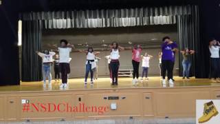 Vision Steppers NSD Challenge 2016