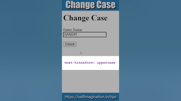 JavaScript Change Case | Type Only on Capital Letter