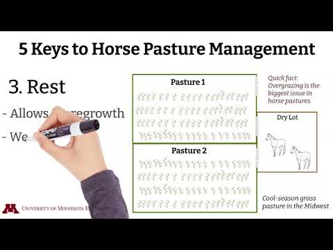 The Five Keys to Horse Pasture Management