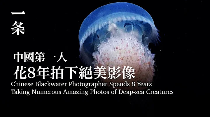 [EngSub] Chinese Blackwater Photographer Spends 8 Years Taking Numerous Photos of Deap-sea Creatures - DayDayNews