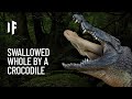 What If You Were Swallowed by a Crocodile?