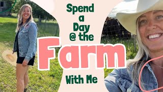MEET MY BABY FARM ANIMALS | A Day @ the Farm #farmanimals #babyanimals