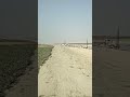এই গানের মধ্যে কি আছে?