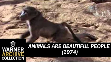 Preview Clip | Animals are Beautiful People | Warner Archive