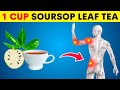 Soursop Leaves: 10 Amazing Health Benefits You Need To Know