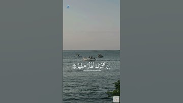 #سورة_لقمان #القرآن_الكريم #اكسبلور #تلاوة #راحة_نفسية #القرآن #ياسر_الدوسري #explore #تيك_توك #لايك