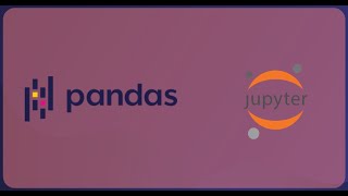 Ecommerce Purchases Data Analyst Project with #pythonpandas