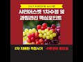 샤인머스켓 1차 지베린처리  및   꼭 알아야 할 과원관리 핵심 포인트