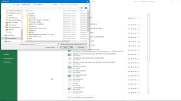 Manual Microsip: ¿Cómo importar y exportar documentos? Parte 3. castillocontadores.mx