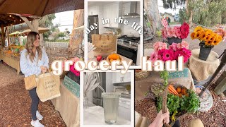 Day In The Life | healthy grocery shop + haul, workout with me, daily meals & moving!