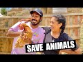 මරනෙන් බේර ගත්ත අහිංසක සත්තු | SAVE ANIMALS | Episode 11 | Tenerife Horse Rescue | BINARIO12