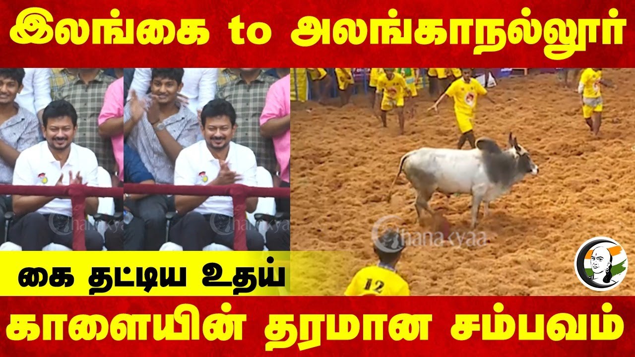 இலங்கை to அலங்காநல்லூர் காளையின் தரமான சம்பவம் | Udhayanidhi | Alanganallur Jallikattu | Madurai