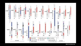 Telomere-to-Telomere Chromosome Assemblies: New Insights Into Genome Biology & Structure screenshot 1