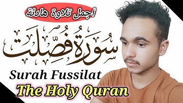 Surah Fussilat | Holy Quran | سورة فصلت |أجمل تلاوة هادئة | أجمل تلاوة خاشعة