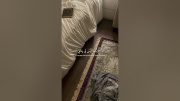 القارئ : جابر القيطان