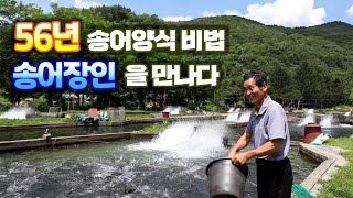 [ 귀농귀촌TV ] 56년 송어양식 비법, 송어장인을 만나다 / 평창귀농귀촌인 특집 5편