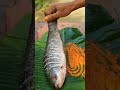 Rehu fish 🐠🐟 (रेहू मछली) #fishcurry #fishing #reels #viral #trending #trendingshorts