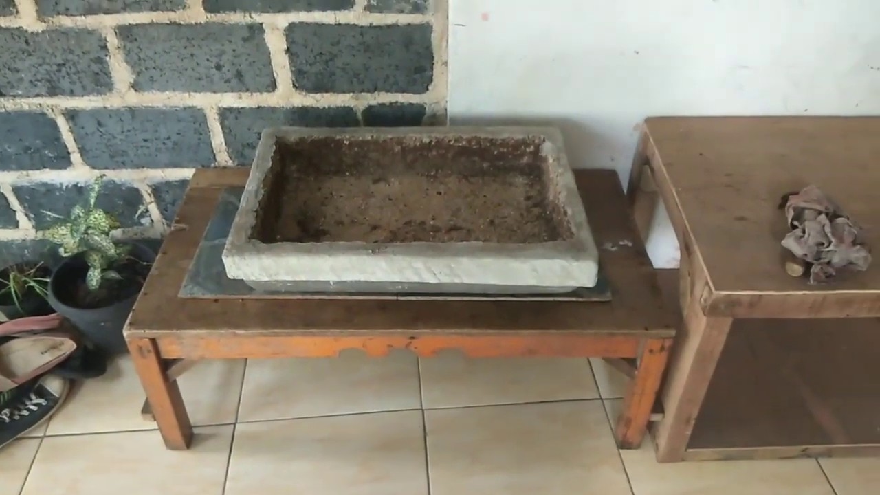 Cara membuat pot  bonsai  dengan cetakan  kayu YouTube