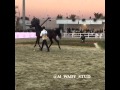 الفحل البطل الحصان سلطان الزباره لا تنسون الليك و الشير الفحل البطل الحصان سلطان الزباره لا تنسون الليك و الشير