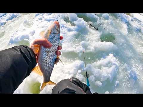 НАШЁЛ КРУПНЯК В ТРАВЕ! ЛЕСКА ТРЕЩИТ ОТ ТАКОЙ ПЛОТВЫ на безмотылку  Рыбалка зимой в 2026