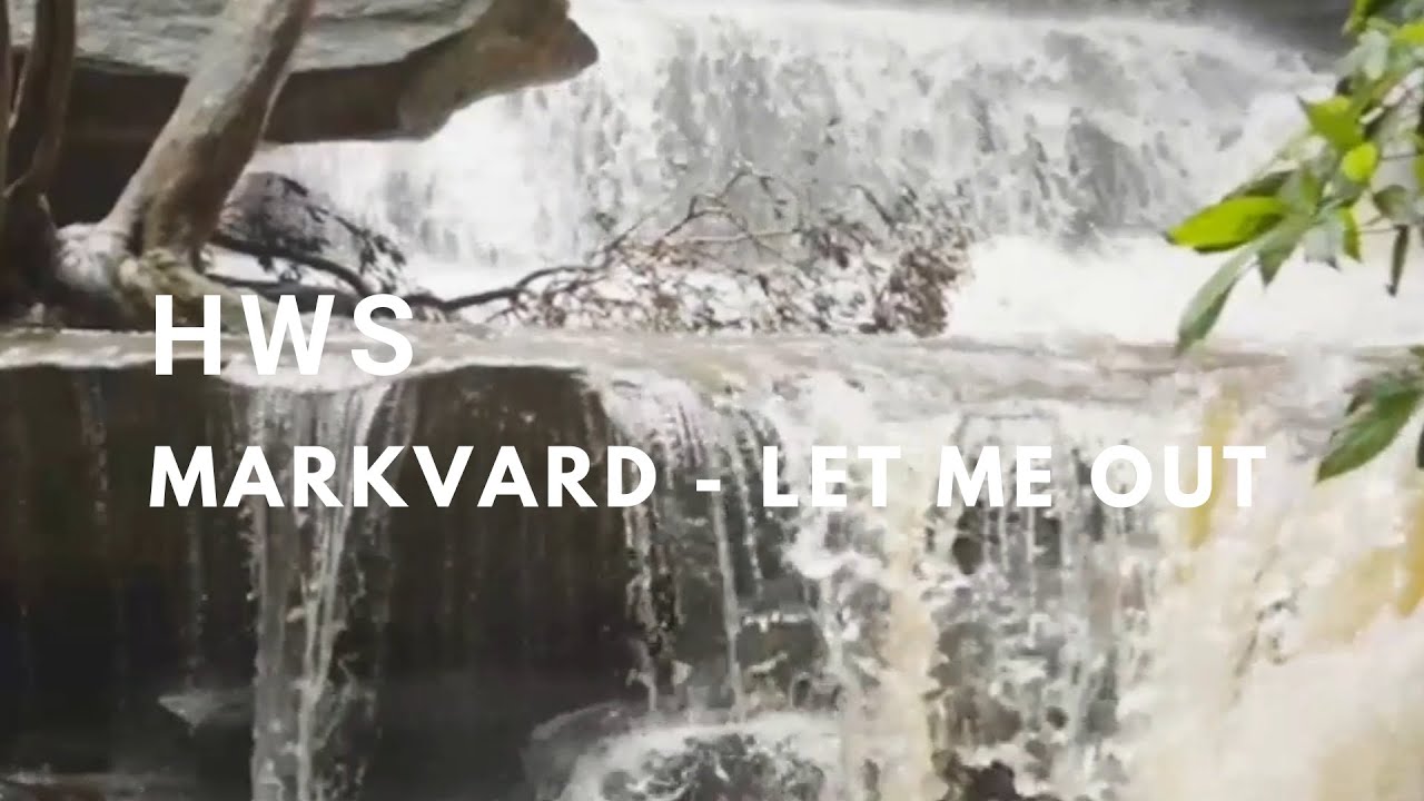 Markvard - Let Me Out (Music Video)