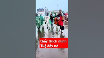 14/7 thầy thích minh tuệ đi khất thực #shorts