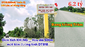 MẶT TIỀN ĐƯỜNG DT818 _ DIỆN TÍCH KHỦNG. HẬU DÀI MIÊN MANG.DT:13.500M2(ĐẤT LÚA. SHR)ĐỨC HUỆ.LONG AN