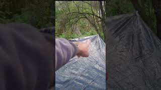 No Knot Robert&#39;s Toggle Tarp System #bushcraft #survival #shorts