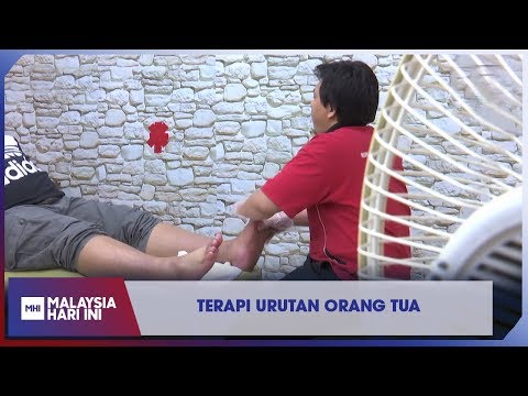 Video: Apa Yang Diinginkan Ahli Terapi Yang Anda Ketahui Mengenai Apa Yang Mereka Bayarkan