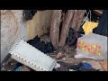 LAPD videos show rat-infested homeless encampment