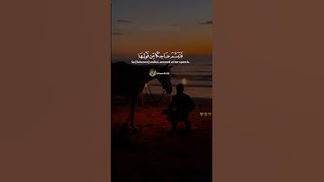 #صوت_جميل_رائع #قران_كريم #duet #المصحف #راحة_نفسية #quranreaction #سورة_النمل