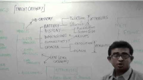 Category Attributes & Variants