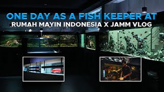 OHHH ‼️ BEGINI FISH KEEPER MEMPERLAKUKAN IKAN DI RUMAH MAYIN X JAMM VLOG | AUTO IKAN JADI NYAMAN