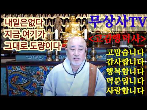 내일은 없다 지금 여기가 그대로 도량이다 무상사tv 260610.