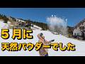 5月末まで営業してるゲレンデがあるので行ってみたら天然パウダーだった。横手山渋峠スキー場