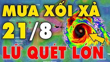 🔥 DỰ BÁO THỜI TIẾT 21/08: Cuối tuần cả nước mưa dông, có nơi xuất hiện lũ lớn | NEWS VN