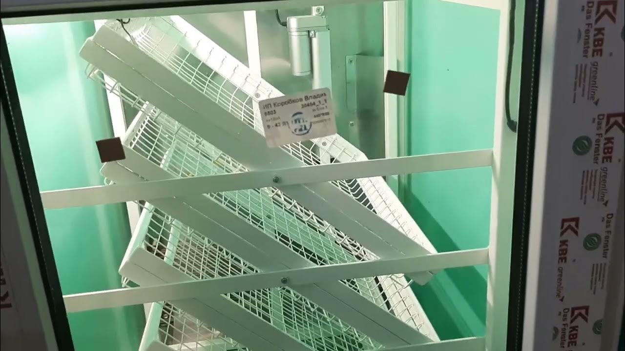 Розыгрыш инкубатора. - YouTube