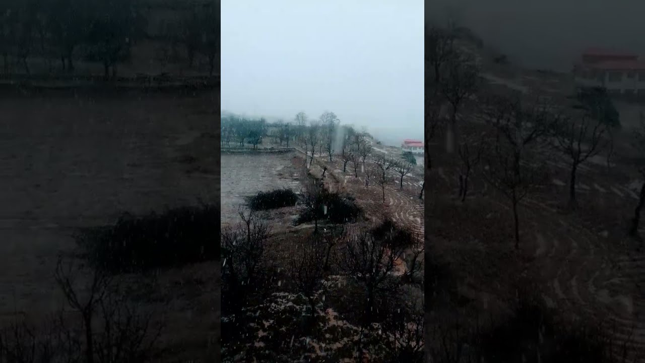 Snowfall Began This Afternoon In Several Areas Of Bramulla Kashmir Beautyofkashmir W8v