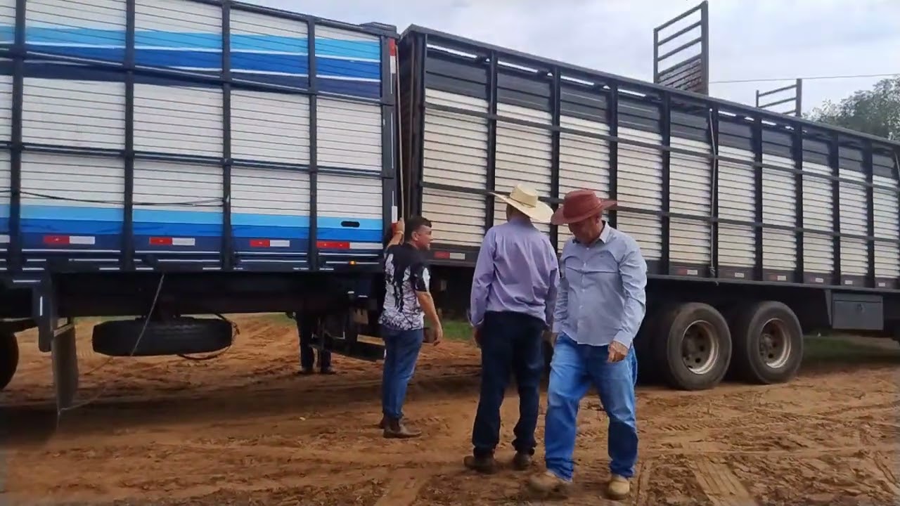 FAZENDA MODELO EM ICARAIMA PR