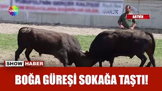Boğalar Arenaya Sığmadı
