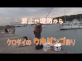 波止や堤防からクロダイのウキダンゴ釣り