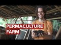 Permaculture Farm in Bali⎢The Kul Kul Farm