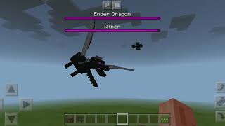 Wither Vs Ender Dragon