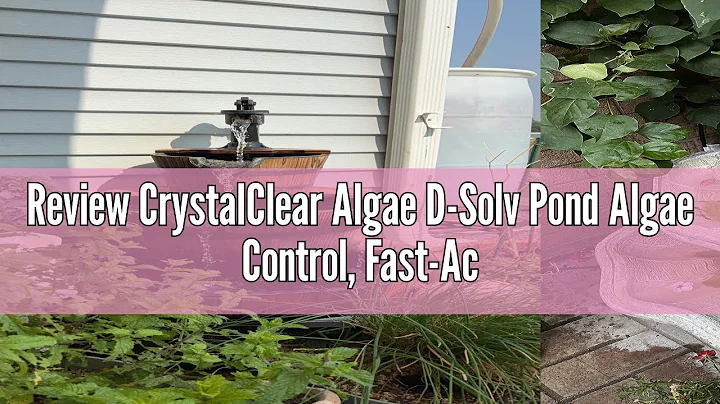 Review CrystalClear Algae D-Solv Pond Algae Control, Fast-Acting EPA Registered Algaecide, Use in Fo