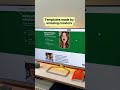 Build you portfolio today ! Job ready #portfolio #free #css #html #grow #hiring