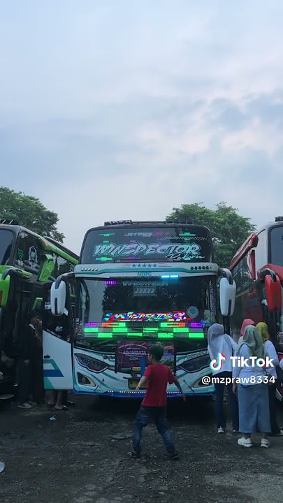 dj kartel winspector candu#busmania#winspector#QQtrans