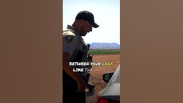 FWF: Fireball DUI #fridayswithfrank