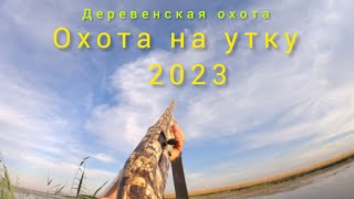 :    12 .   2023..(hunting)